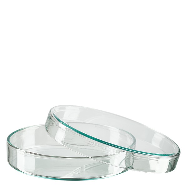 Szalka Petriego 100x20mm szklana