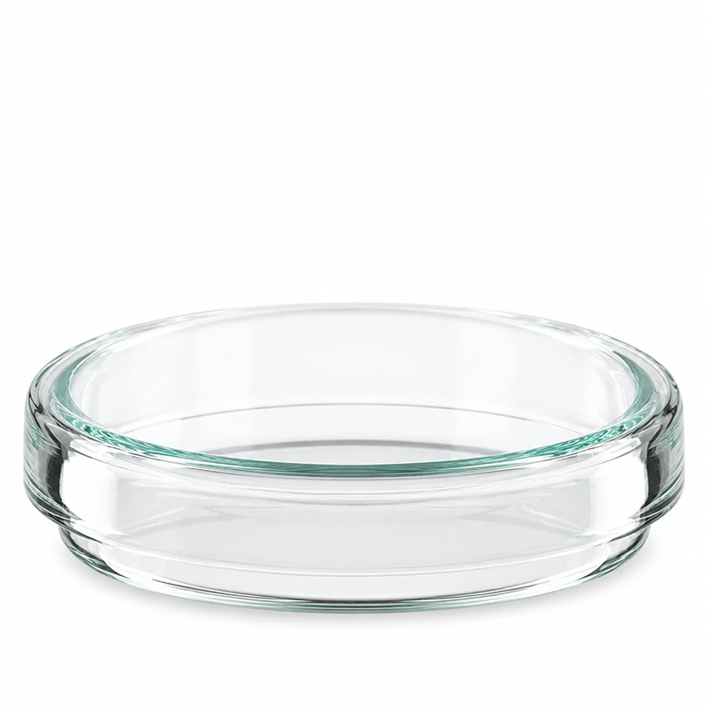Szalka Petriego 60 mm wykonana z przezroczystego szkła laboratoryjnego do hodowli mikroorganizmów i kultur komórkowych. Wysokość 15 mm Pojedyncza szklana szalka Petriego o wymiarach 60 x 15 mm, pusta i przezroczysta, widziana od przodu na białym tle