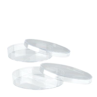 Szalkę Petriego (plastikowa)