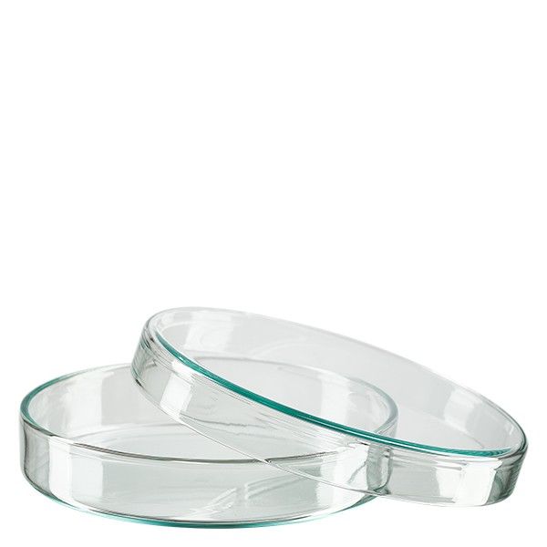 Szalka Petriego 100x20mm szklana